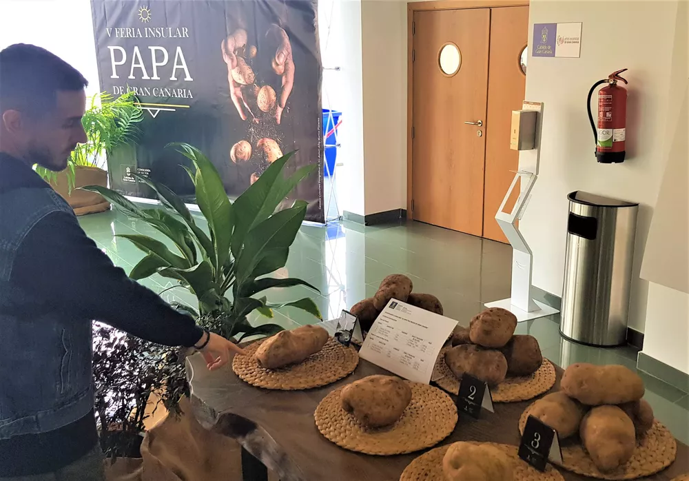 exposición-feria-papa-teror