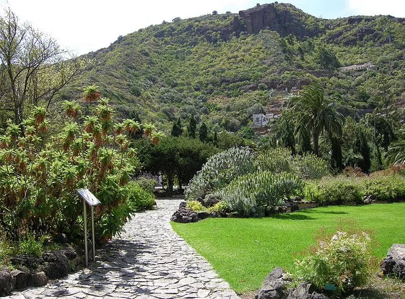 jardin-canario-viera-y-clavijo-gran-canaria