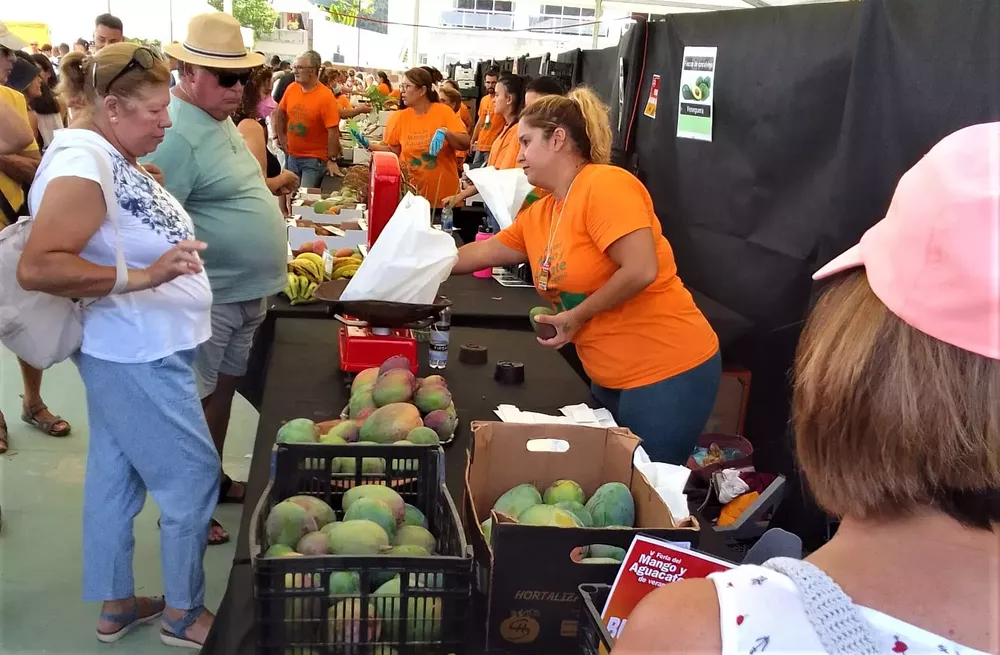 feria-del-mango-y-aguacate-verano-mogan_3