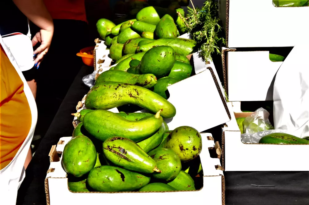 feria-del-mango-y-aguacate-verano-mogan_2
