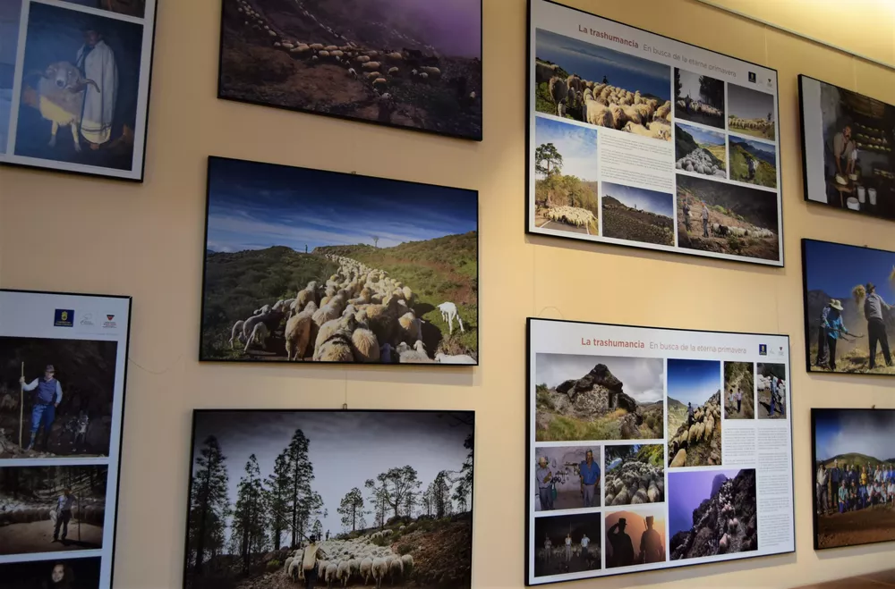 exposicion-pastores-de-volcanes-y-alisios_3