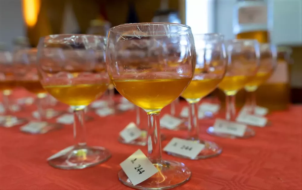 concurso-oficial-de-mieles-de-gran-canaria_3_la-gaceta de gran-canaria