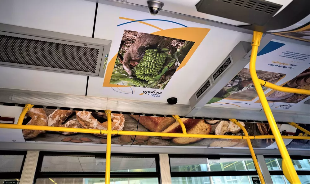 acuerdo-gran-canaria-me-gusta-y-guaguas-municipales_3