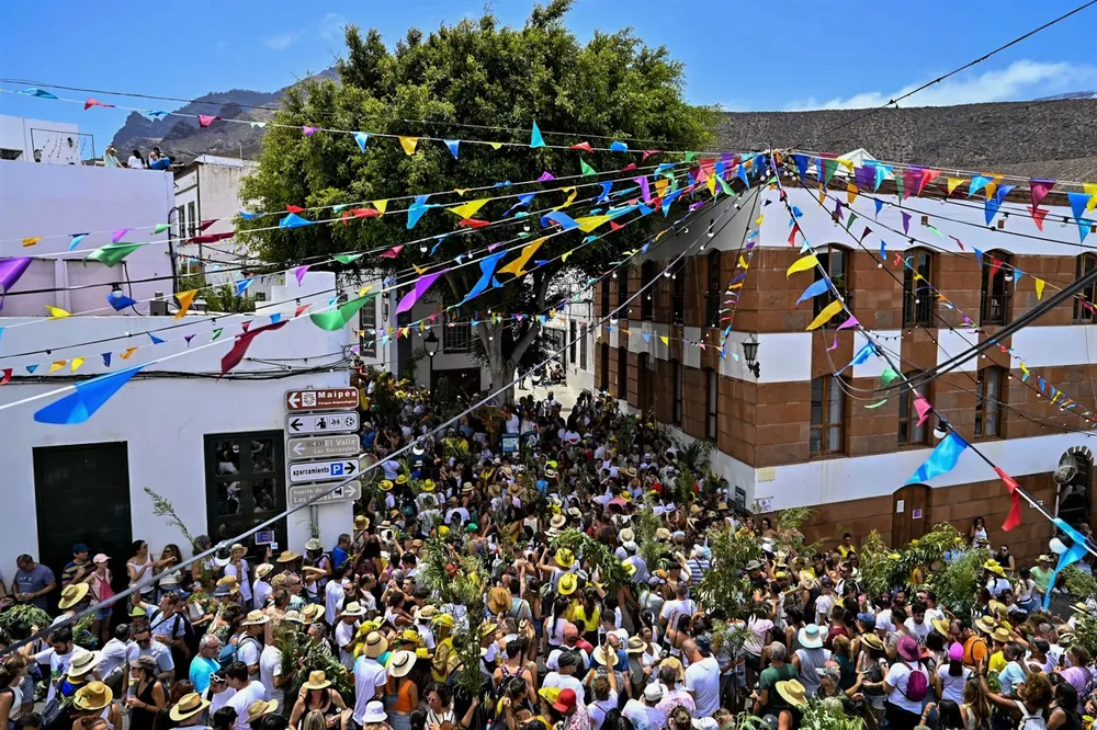 fiesta-de-la-rama-agaete-I-la-gaceta-noticias-gran-canaria