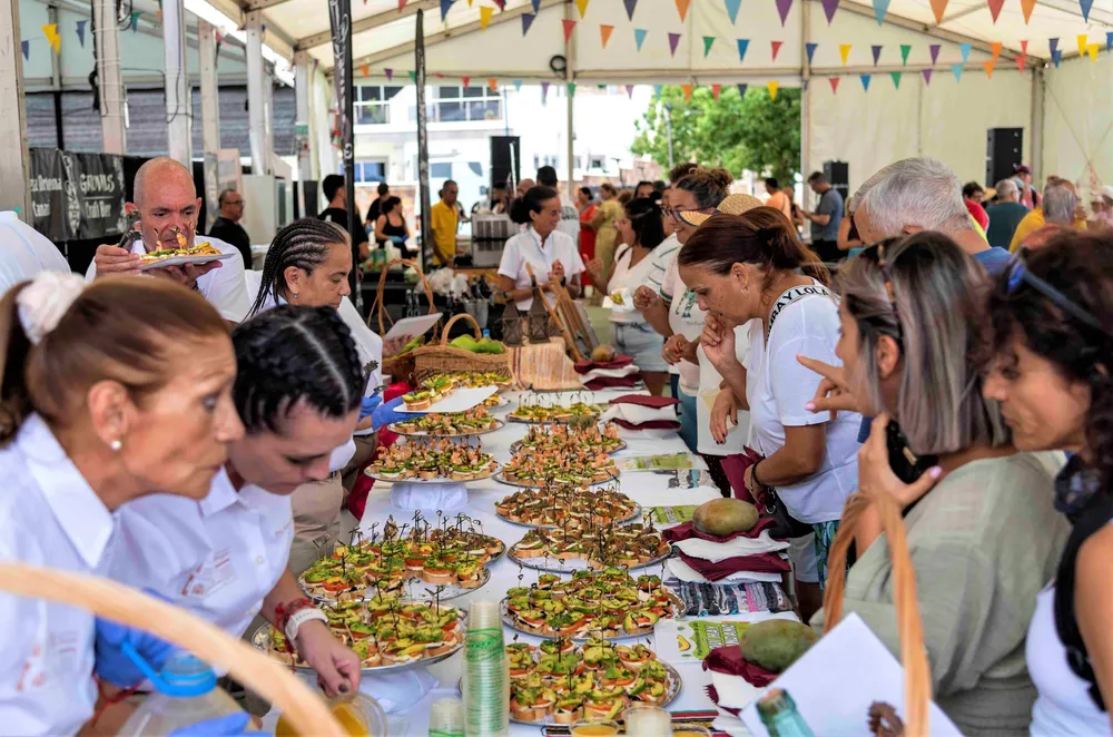 feria-mango-y-aguacate-de-verano-mogan-I-la-gaceta-noticias-de-gran-canaria