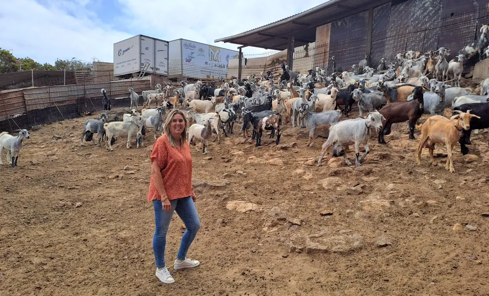 maria-calderin-concejala-sector-primario-telde-I-visita-queso-las-cuevas-I-la-gaceta-de-gran-canaria