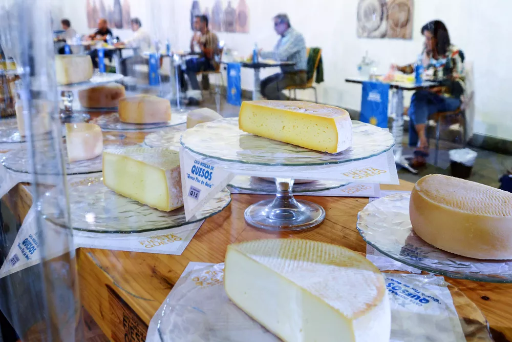 fiesta-del-queso-santa-maria-de-guia_la-gaceta-de-gran-canaria