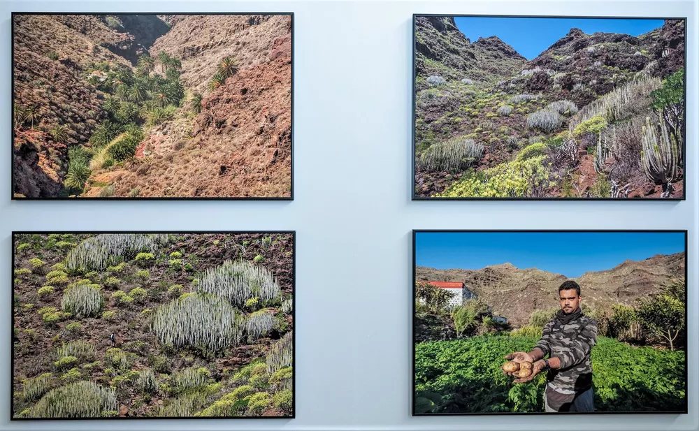 parque-nacional-guguy-gran-canaria_3