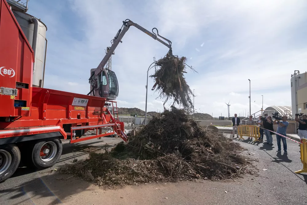 sector-primario-mancomunidad-del-sureste-alicia-vanoostende_la-gaceta-de-gran-canaria