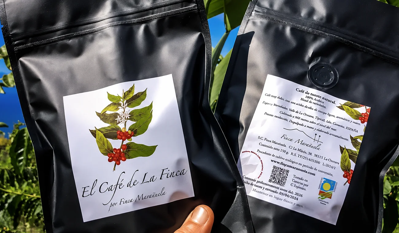 cultivo-de-cafe-en-Tenerife-en-Finca-Marañuela