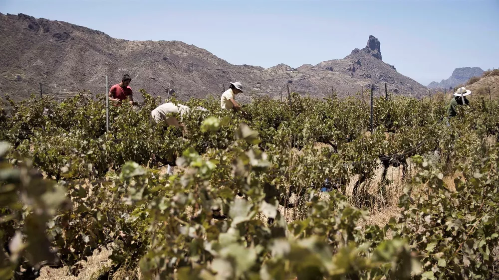Vista del Bentayga foto de Desenfoque Producciones