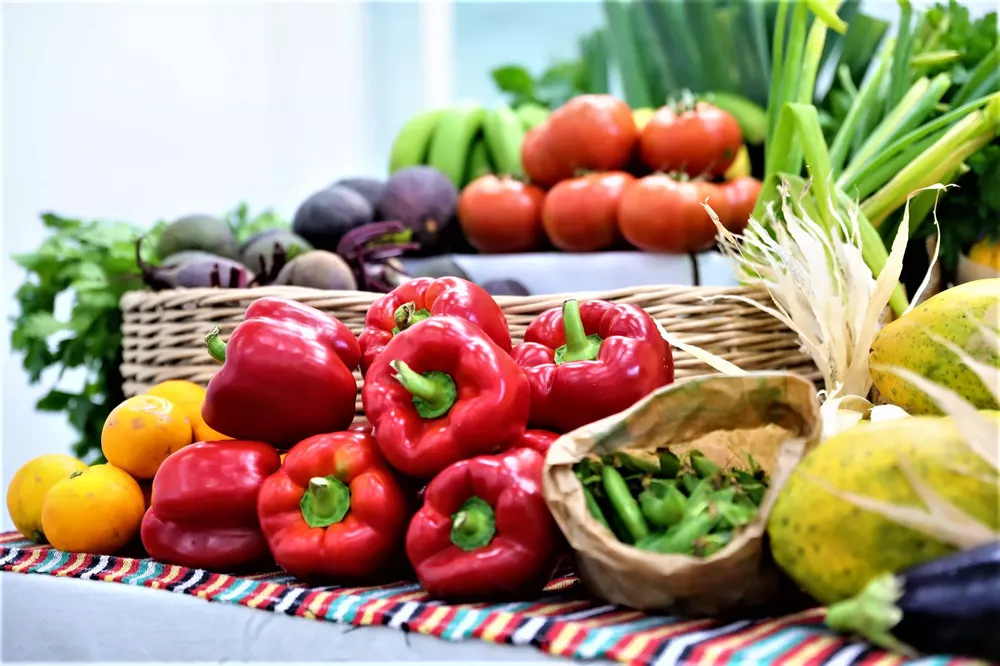 sector-primario-gran-canaria