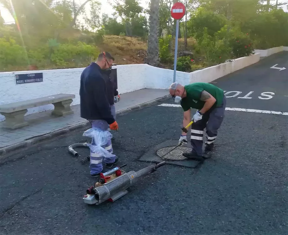 Termonebulización - Las Coloradas 1
