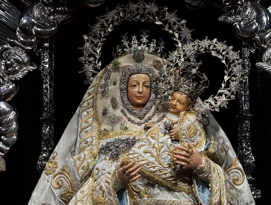 bajada-virgen-del-pino-de-camarin-con-vestido-celeste