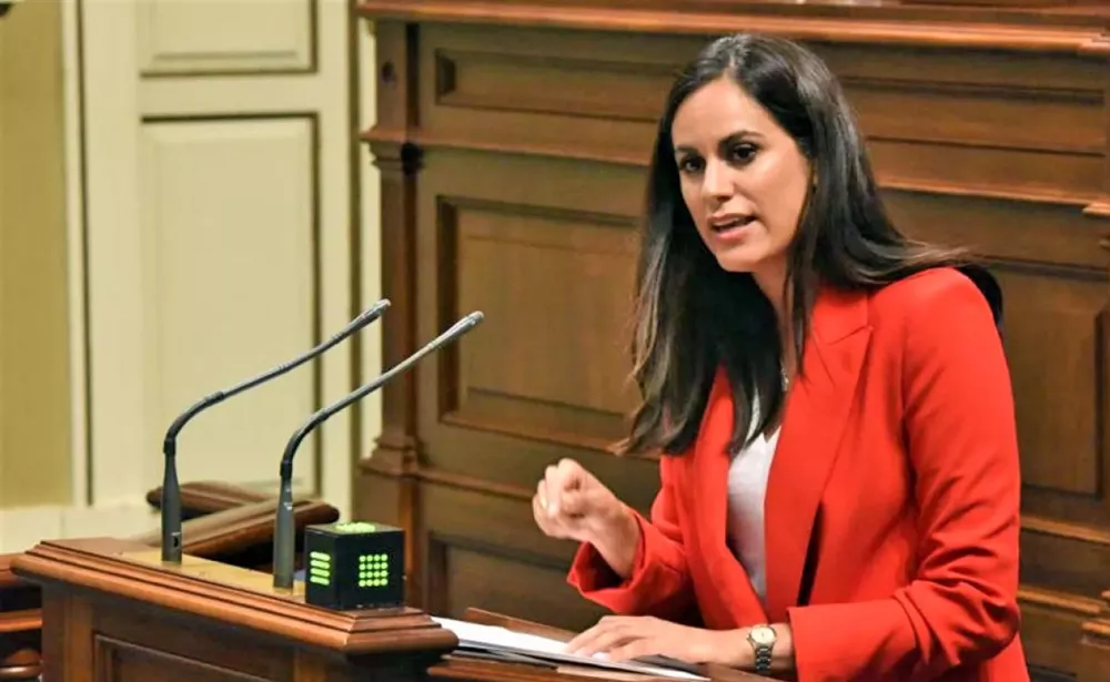 vidina-espino-diputada-grupo-mixto-parlamento-de-canaria_la-gaceta-de-gran-canaria