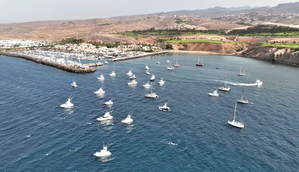 concurso-pesca-altura-pasito-blanco-I-la-gaceta-noticias-gran-canaria tercer open internacional de pesca de altura gran canaria I pasito blanco I la gaceta de gran canaria I noticias de gran canaria