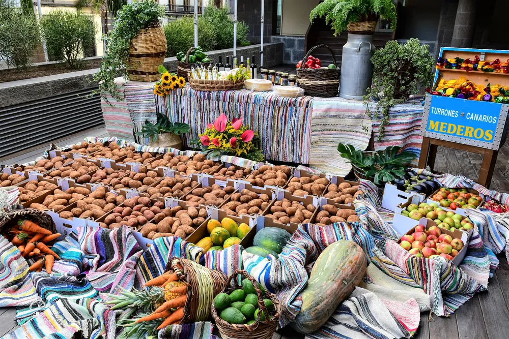 romeria-ofrenda-del-pino-carreta-cabildo-gran-canaria-I-la-gaceta-noticias-gran-canaria