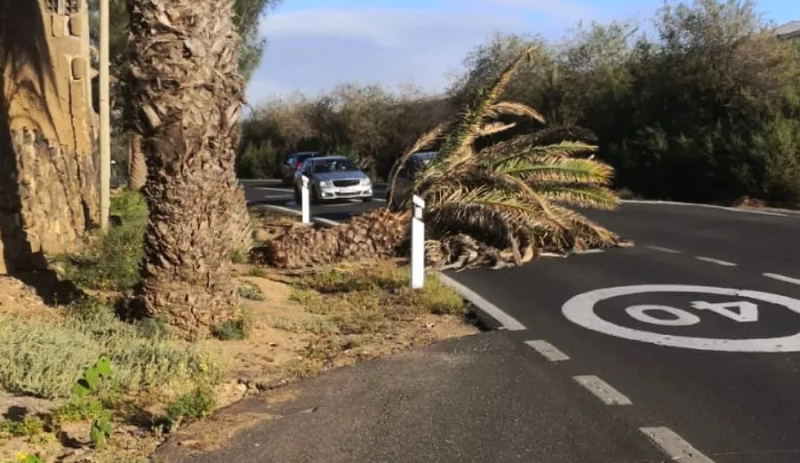 declarada-la-alerta-por-fuertes-vientos-y-lluvias-en-gran-canaria-borrasca-olivier