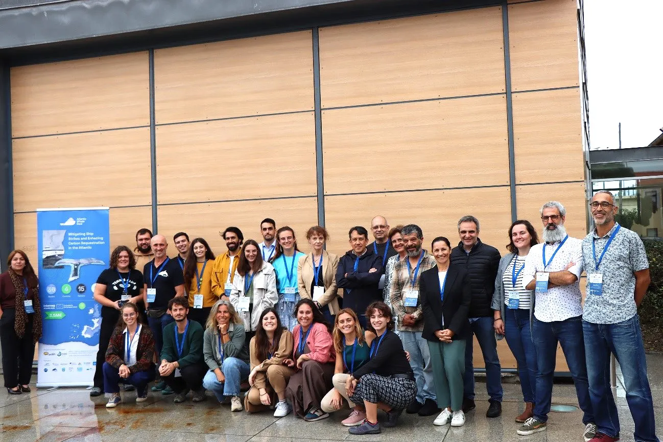 ulpgc-trabaja-creacion-mapa-interactivo-prevenir-colision-barcos-cetaceos