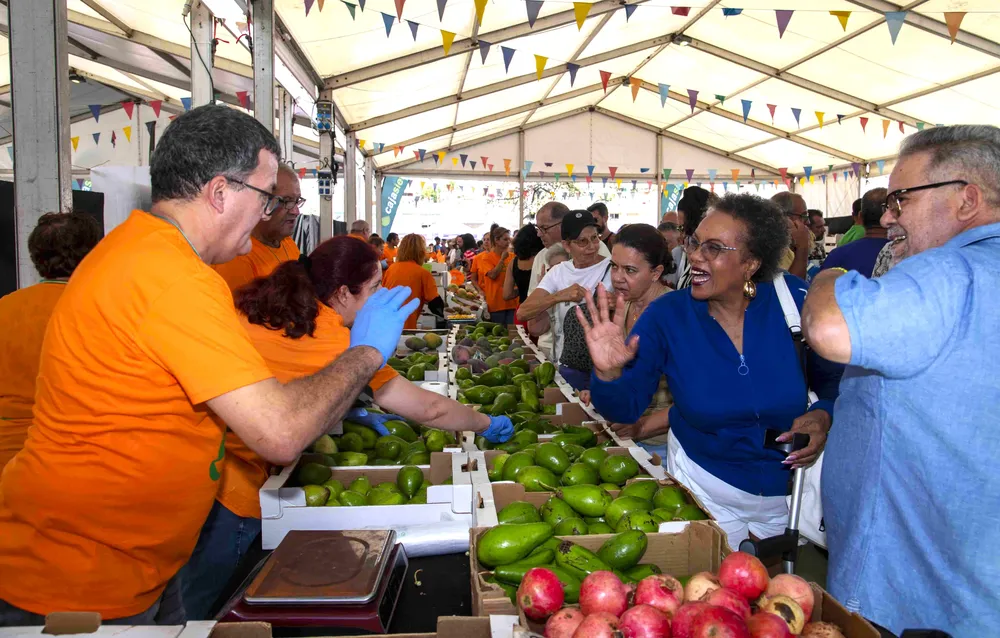 feria-mango-y-aguacate-verano-mogan
