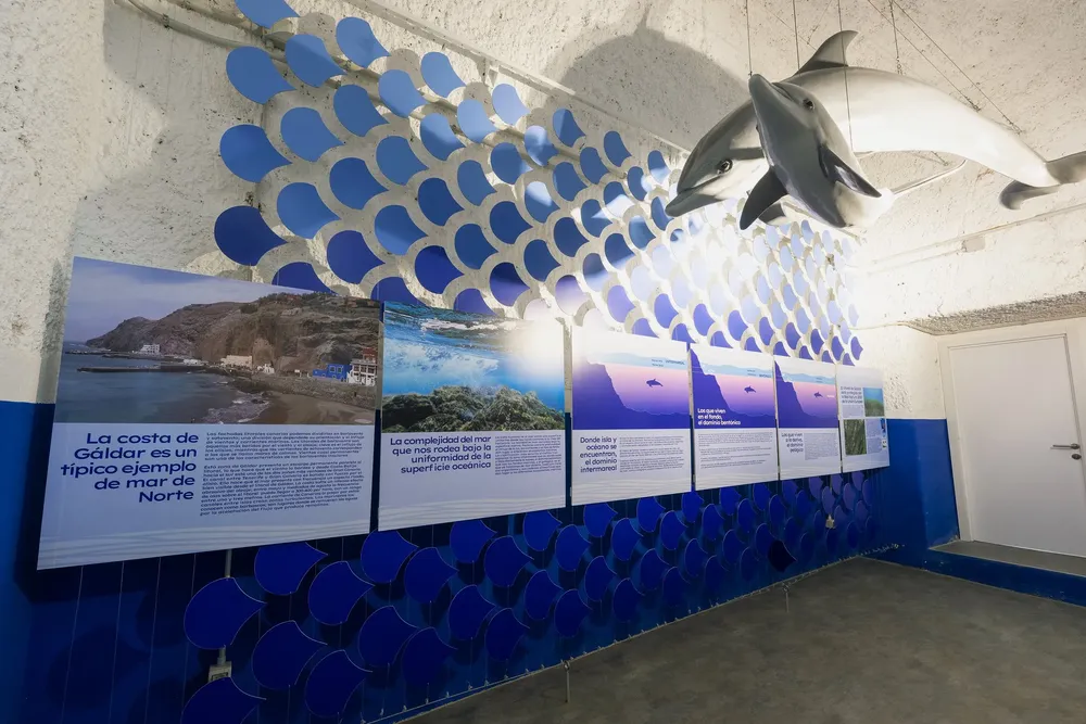 aula-de-mar-de-sardina_noticias-de-gran-canaria aula de mar de sardina supera las 1.700 visitas en su primer mes I la gaceta de gran canaria I noticias de gran canaria