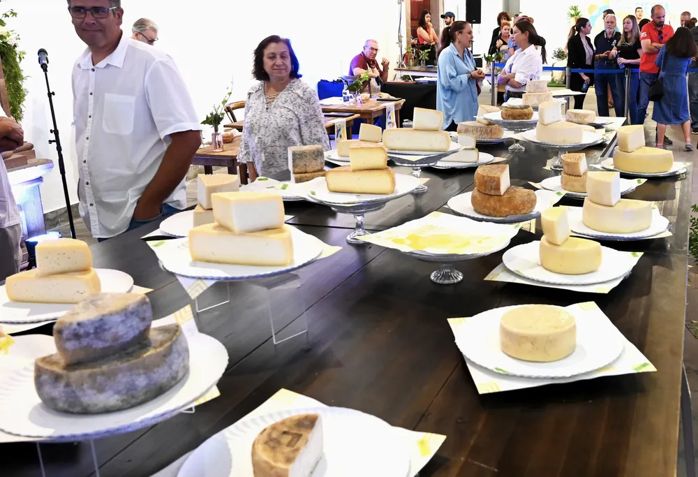 cata-insular-quesos-de-flor-de-guia_noticias-de-gran-canaria