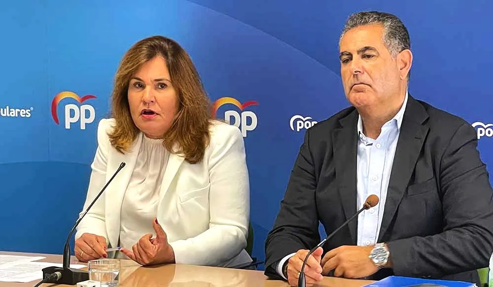 jimena-delgado.denuncia-la-perdida-de-un-millon-de-euros-de-inversion-en-tamaraceite jimena delgado, portavoz del partido popular en el ayuntamiento de las palmas de gran canaria, denuncia la perdida de un millon de euros de inversion en Tamaraceite