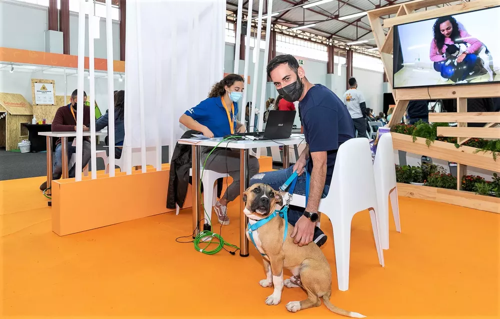 animundo-feria-del-animal-de-compañia-infecar_la-gaceta-de-gran-canaria