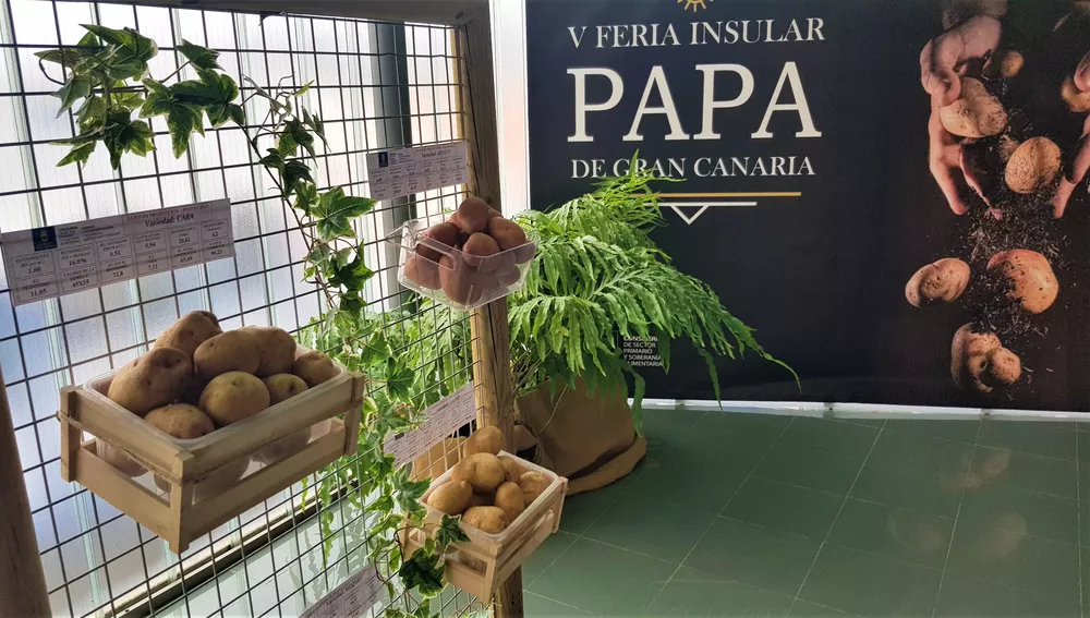 feria-papa-de-gran-canaria-teror