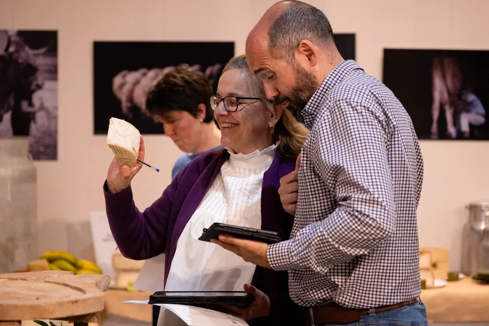 galdar-avala-excelente-calidad-de-quesos-artesanos-de-gran-canaria