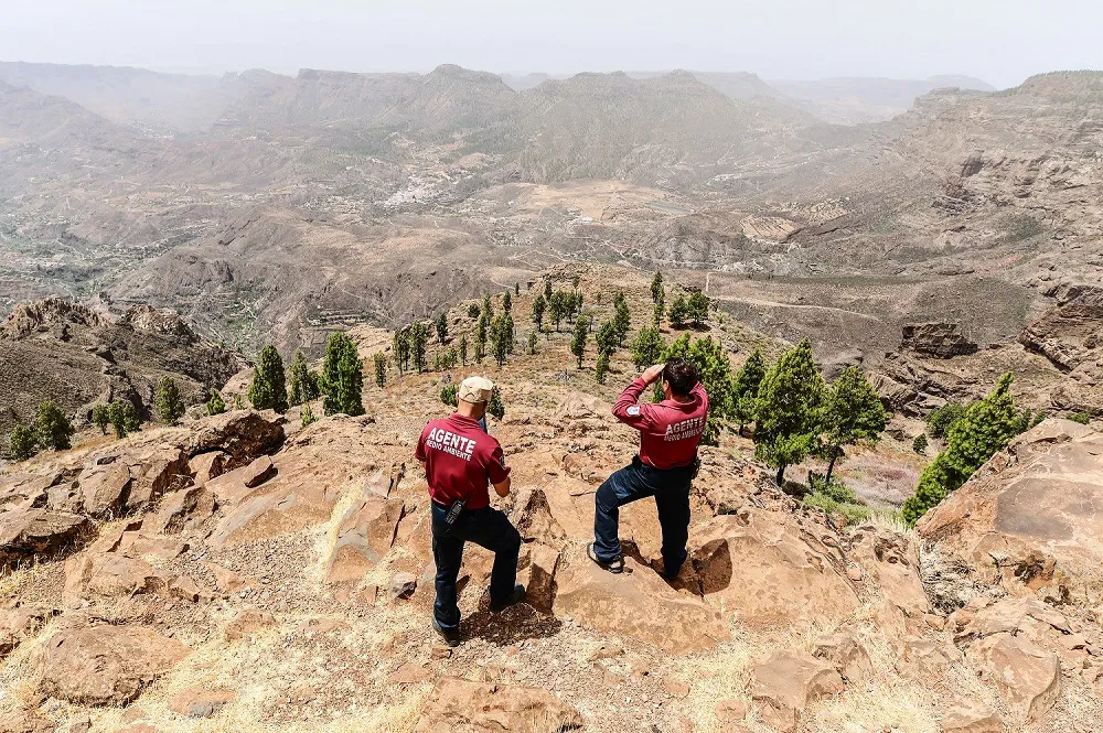 cabildo-gran-canaria-declara-alerta-por-incendios-forestales