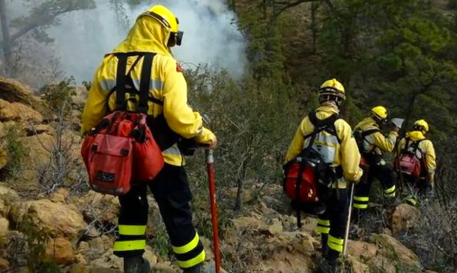 cabildo-gran-canaria-declara-alerta-por-riesgo-de-incendios-forestales