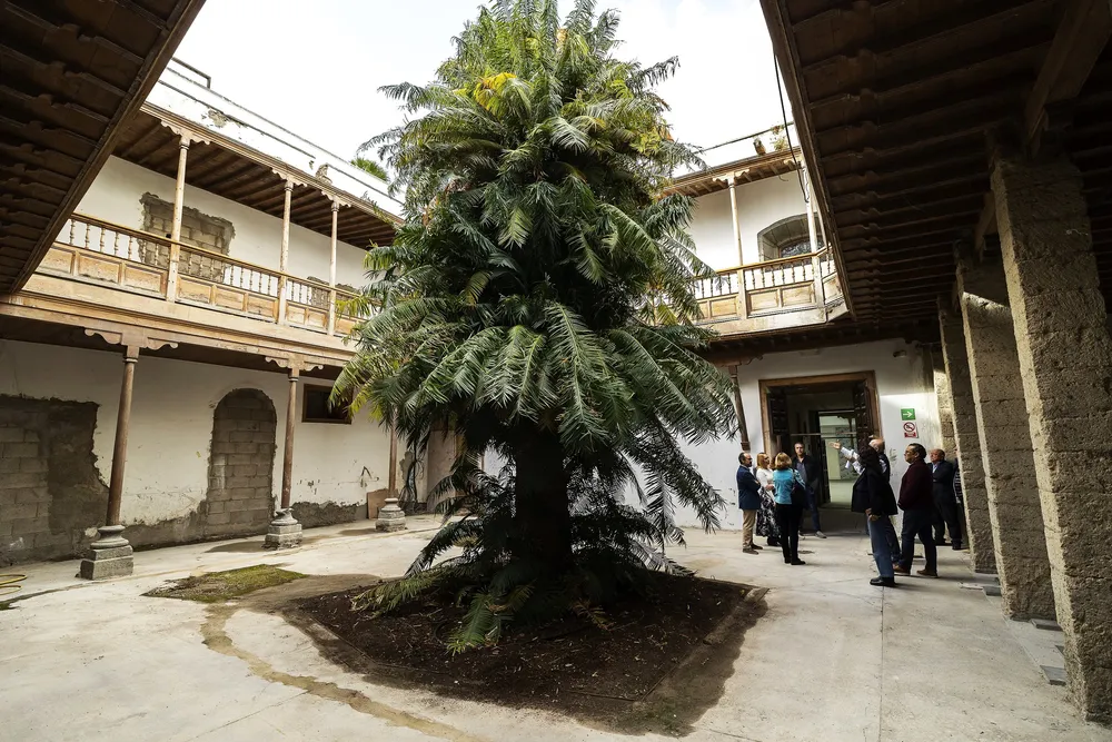 perez-moreno-e-imesapi-ejecutan-obras-segunda-fase-mubea_museo-bellas-artes-gran-canaria