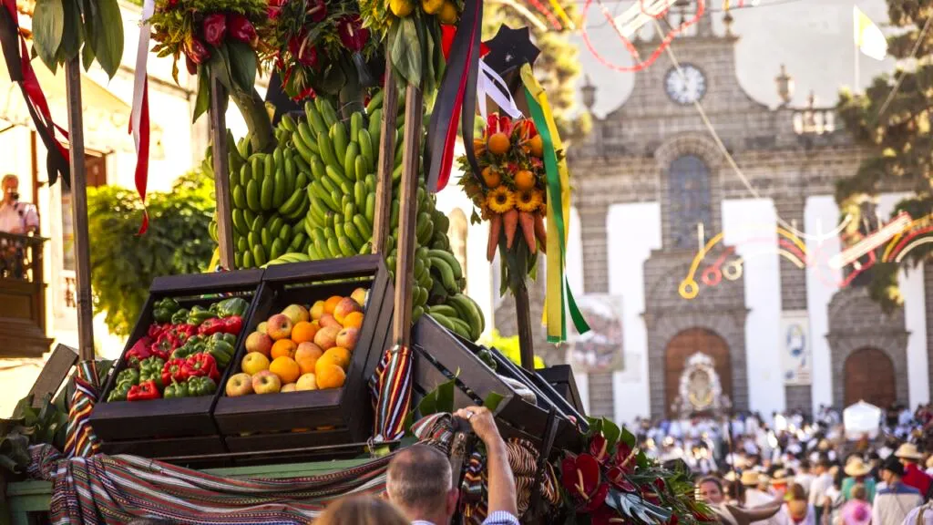 television-canaria-emite-en-directo-romeria-ofrenda-a-virgen-del-pino