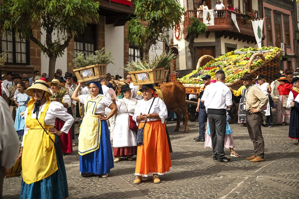 mogan-brilla-en-romeria-del-pino-en-teror_6