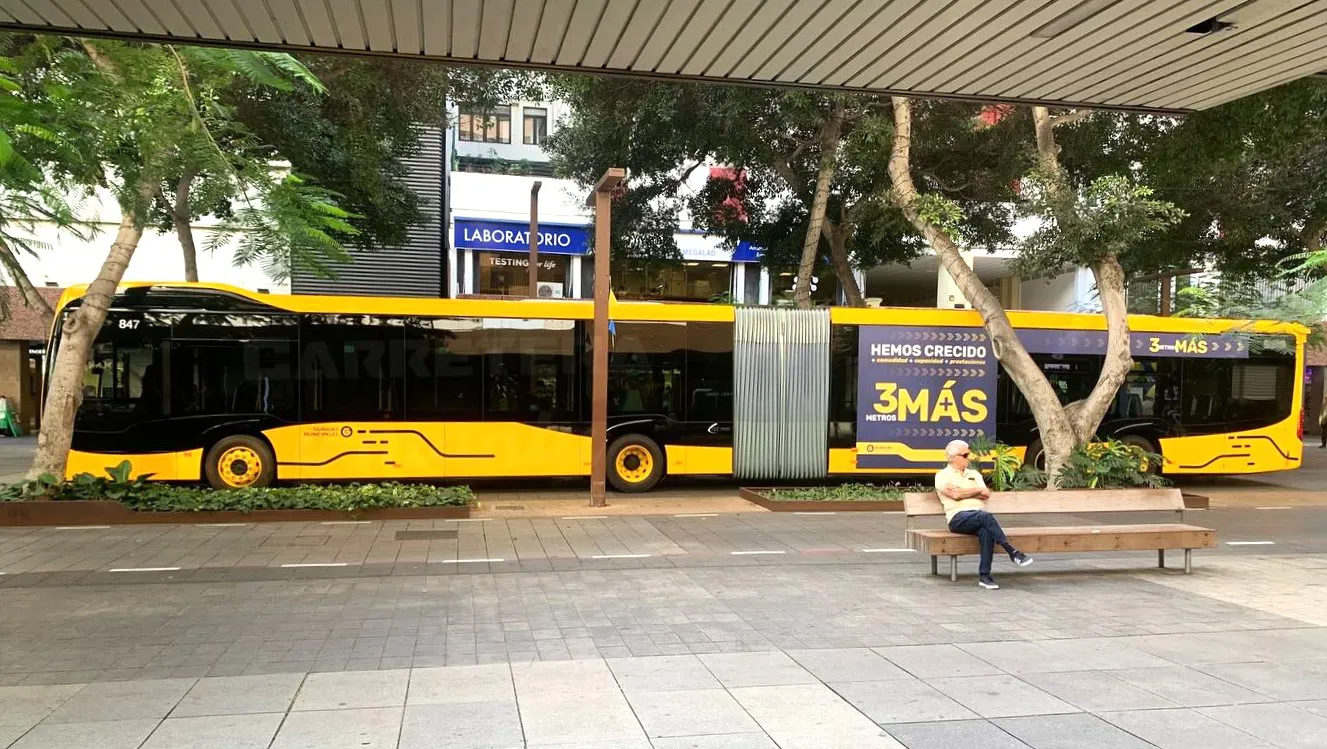 guaguas-municipales-bate-records-de-viajeros-en-2023_la-gaceta-noticias-gran-canaria