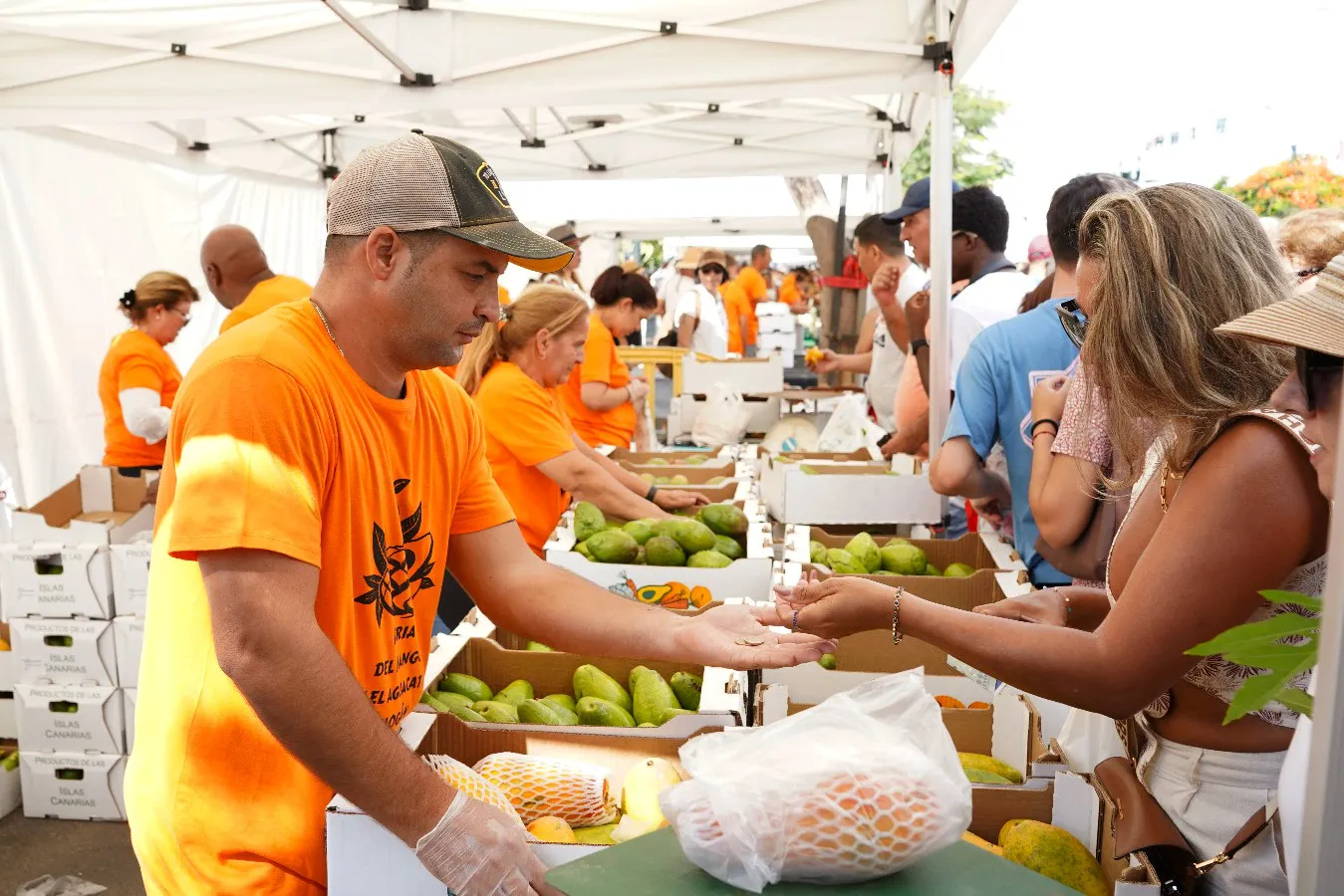 feria-del-mango-y-aguacate-verano-de-mogan