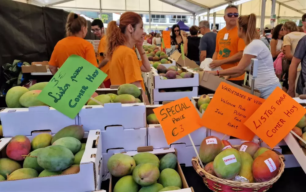 feria-mango-y aguacate-de-verano-mogan