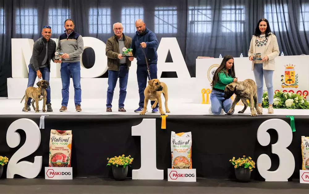 concurso-monografico-del-presa-canario-en-moya_la-gaceta-de-gran-canaria