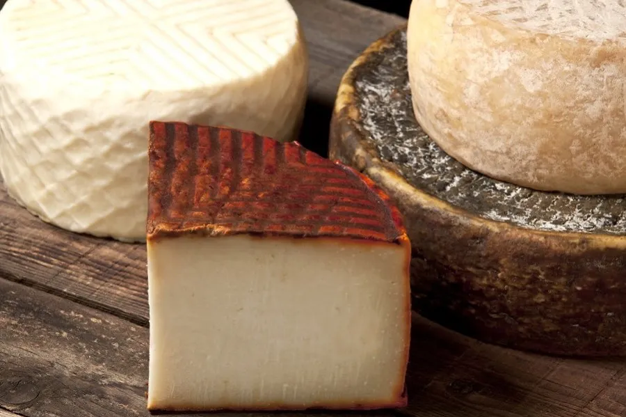 quesos-canarios-compiten-por-ser-el-mejor-del-archipielago