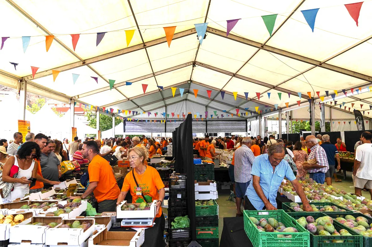 mogan-celebra-feria-mango-y-aguacate-de-verano