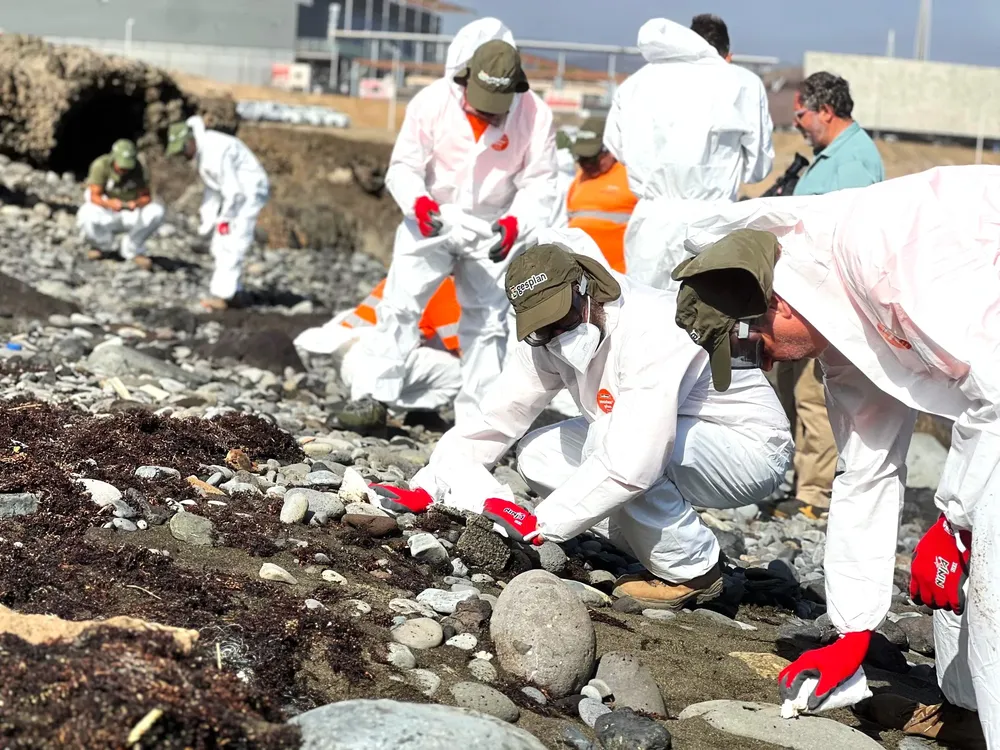 continuan-labores-de-limpieza-y-vigilancia-en-costas-afectadas-por-vertido-de-fueloil-en-gran-canaria