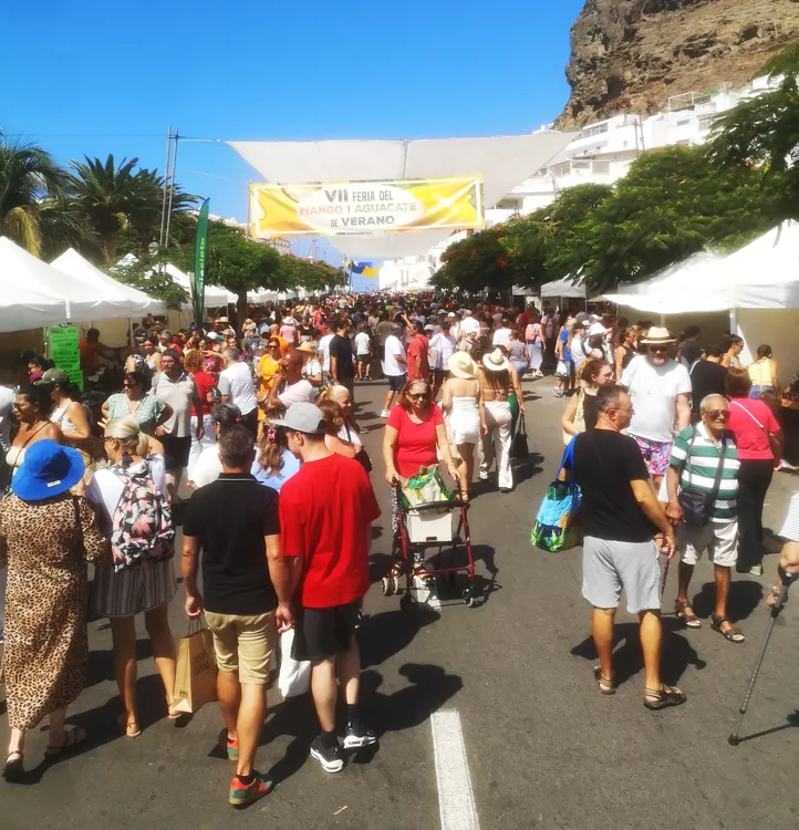 feria-del-mango-y-aguacate-de-verano-mogan