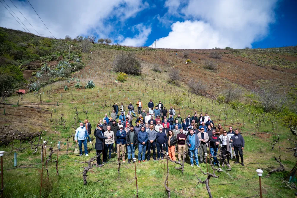 terae-gran-canaria-consolida-un-movimiento-gastronomico-rural