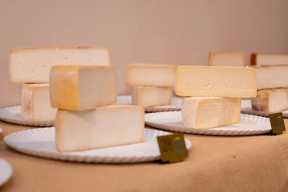 expertos-certifican-en-galdar-excelente-calidad-de-quesos-artesanos-de-gran-canaria