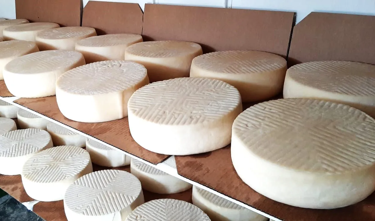 quesos-gran-canaria-world-cheese-awards_noticias-gran-canaria