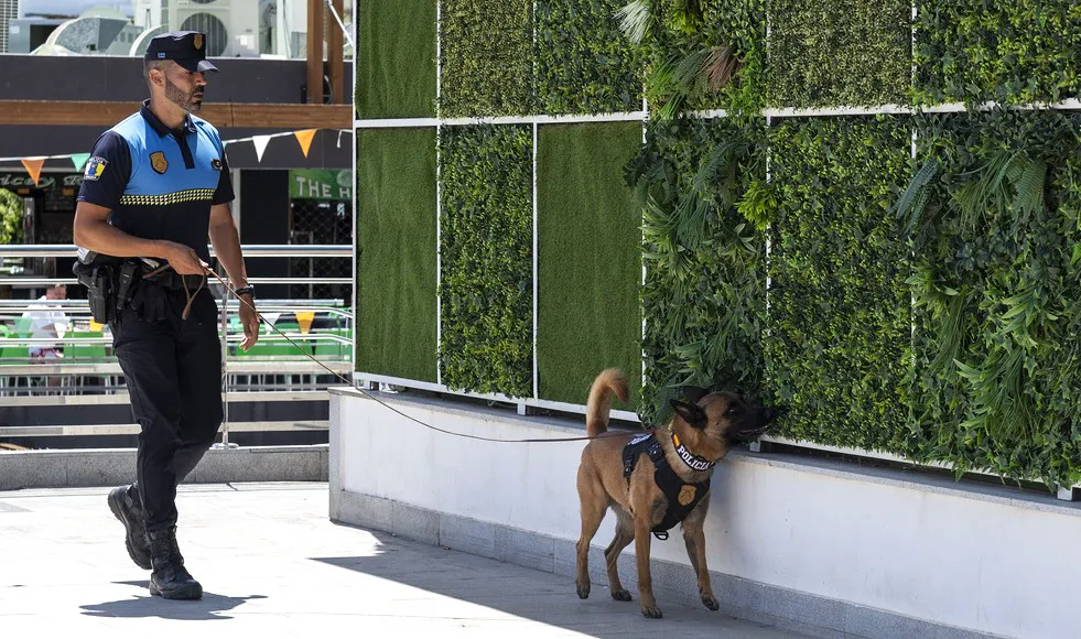 ares-perro-policia-de-mogan-que-combate-trafico-de-drogas unidad canina de la policia local de mogan planta cara al menudeo de droga I David Suarez y Ares durante un operativo policial en puerto rico, mogan I noticias de gran canaria