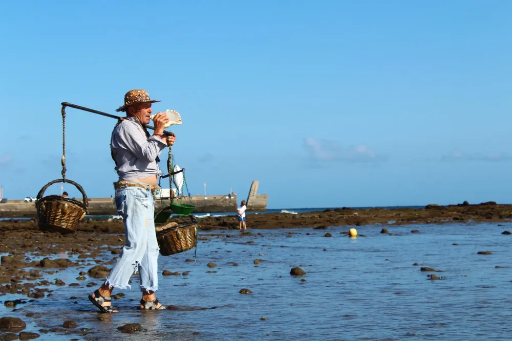 vara-del-pescao-arinaga_2