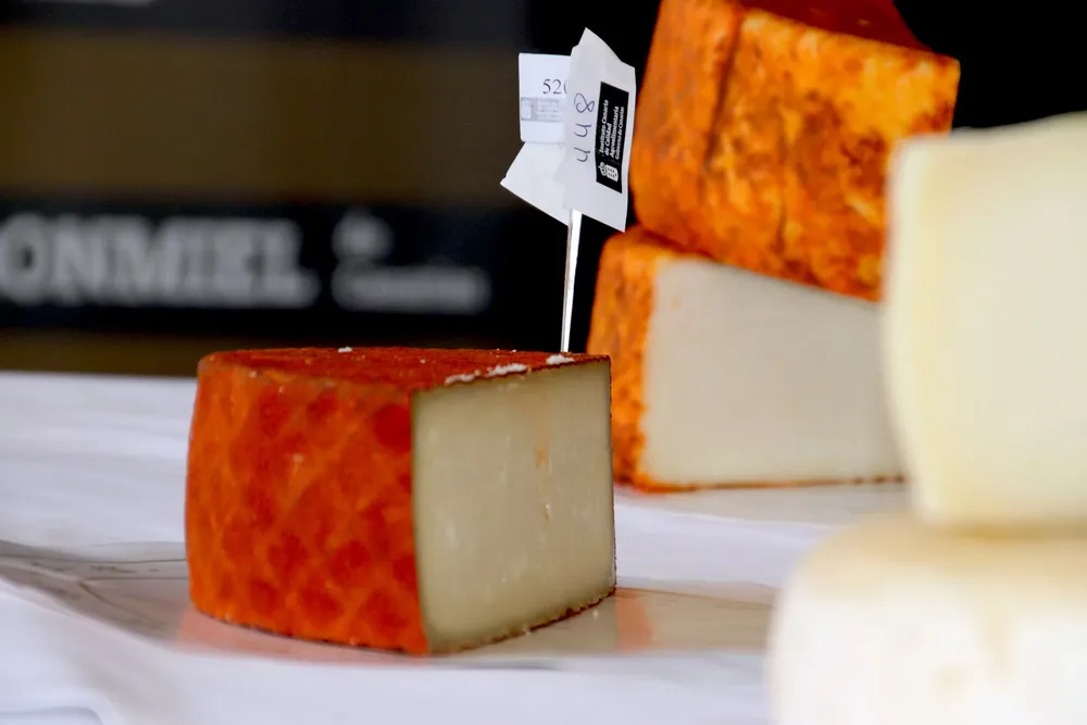 concurso-de-quesos-agrocanarias_la-gaceta-de-gran-canaria