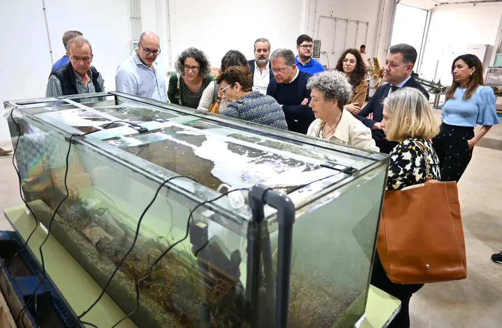 algas-in-vitro-para-repoblar-las-zonas-costeras-degradadas_la-gaceta-de-gran-canaria